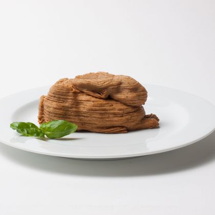 Dialogische Führung: Insekten, Algen, Blut. Alternativen der Zukunft?