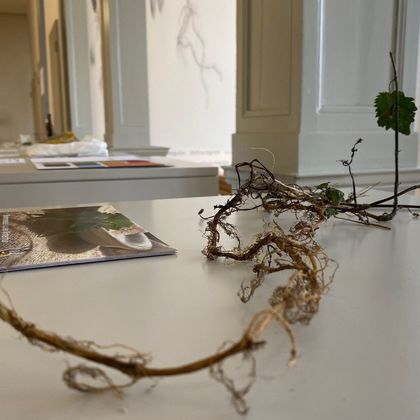 Referat: Brennnessel als Faserpflanze