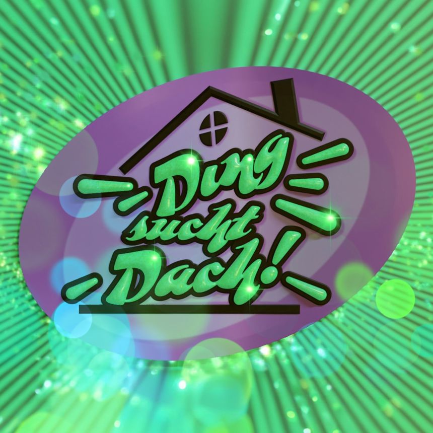 Ding sucht Dach. Die Castingshow