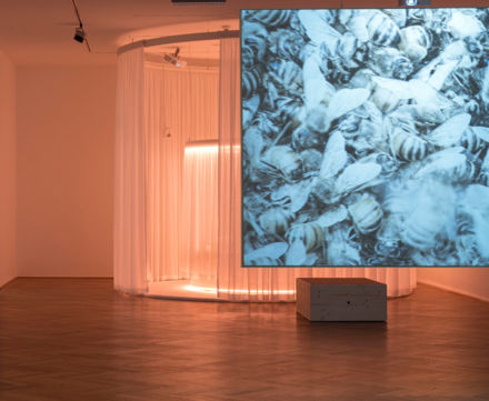 Logo Lighten Up! Im Rhythmus von Tag und Nacht