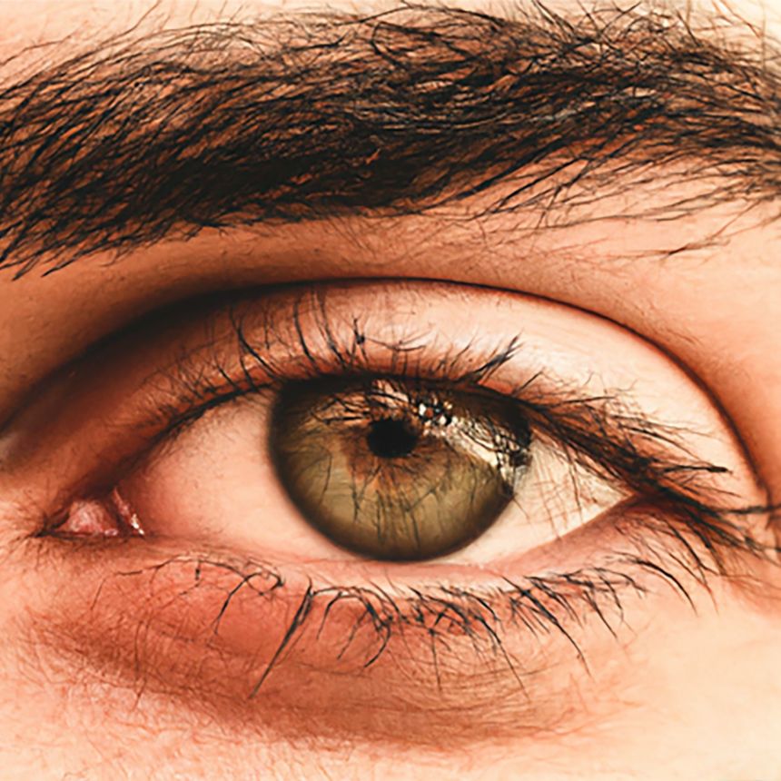 Zu schön, um böse zu sein