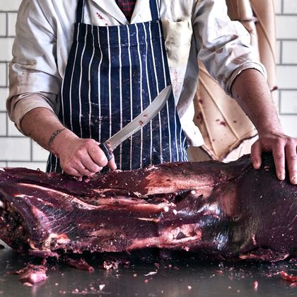 Öffentliche Führung: Food Revolution 5.0