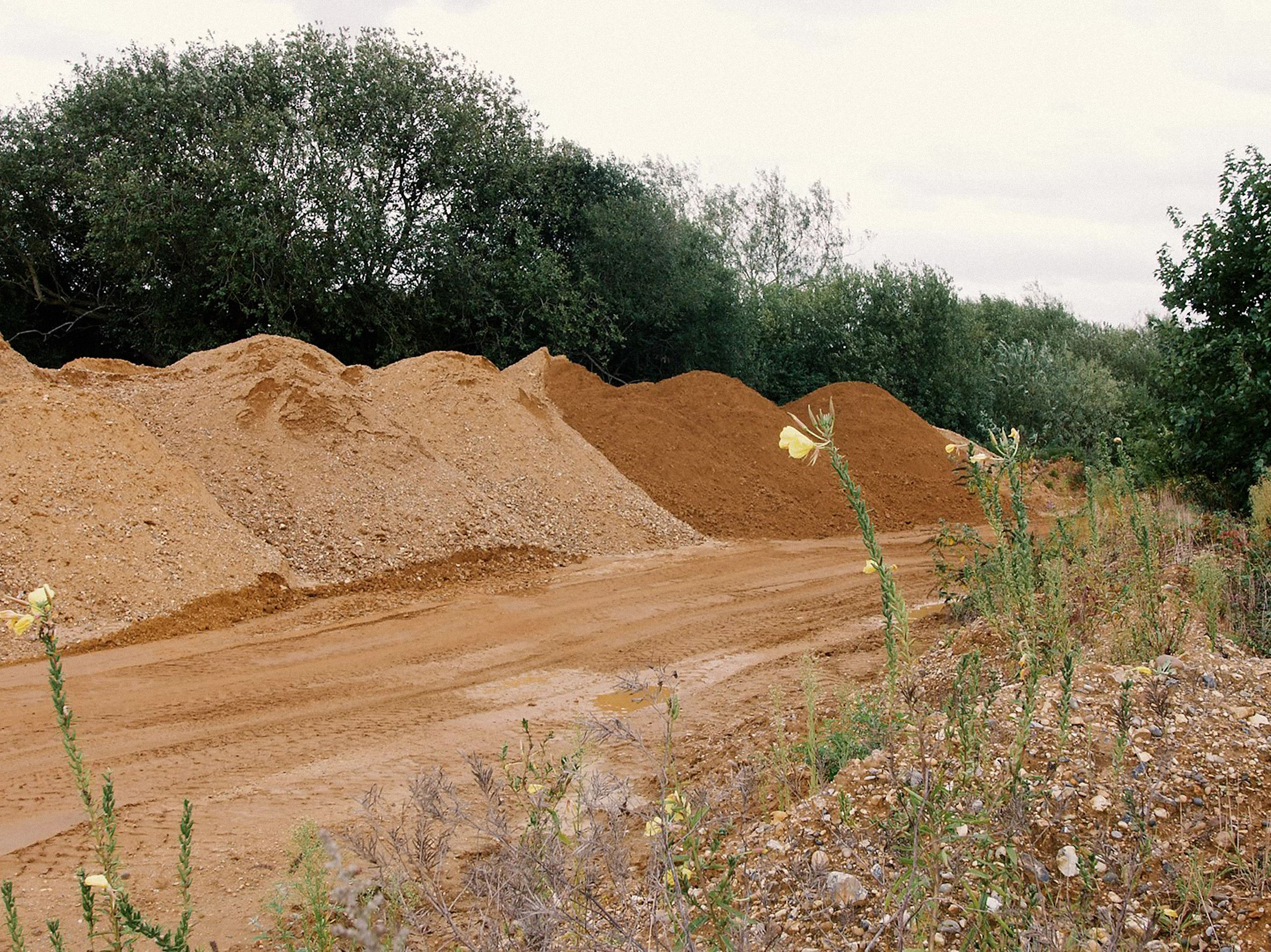 Vernissage: Before and After Sand