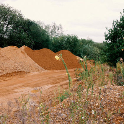 Dialogische Führung: Neue Wildnis – Kiesgruben als Lebensräume