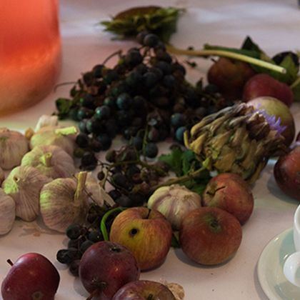 Workshop für alle: Fermentation and Bacteria. Kochen ohne Hitze - Ausgebucht