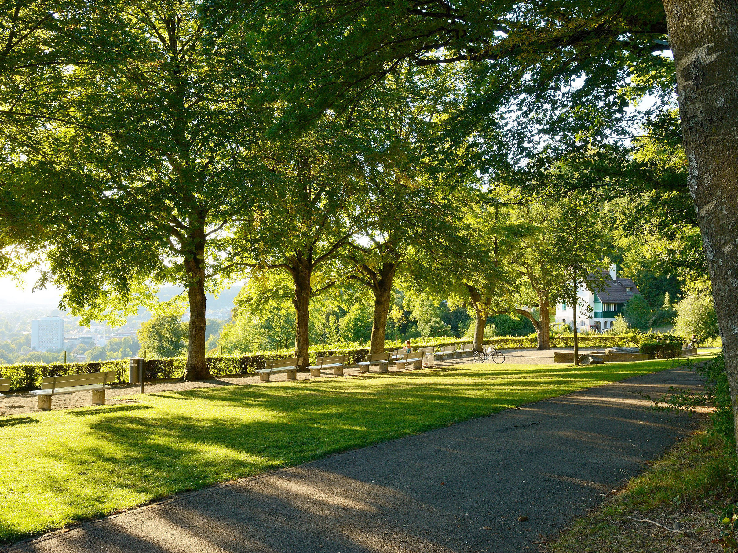 Baumspaziergänge in der Stadt Winterthur