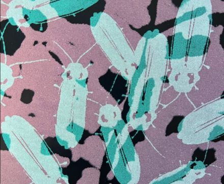 Logo Workshop für alle: Aus dunkel wird hell – wir siebdrucken! – Nur noch Warteliste!