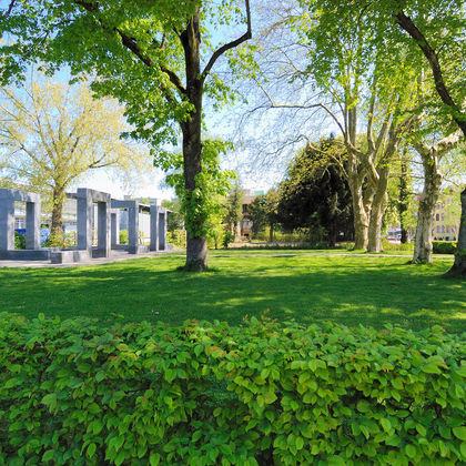 Podium: Bäume für die Zukunft der Gartenstadt