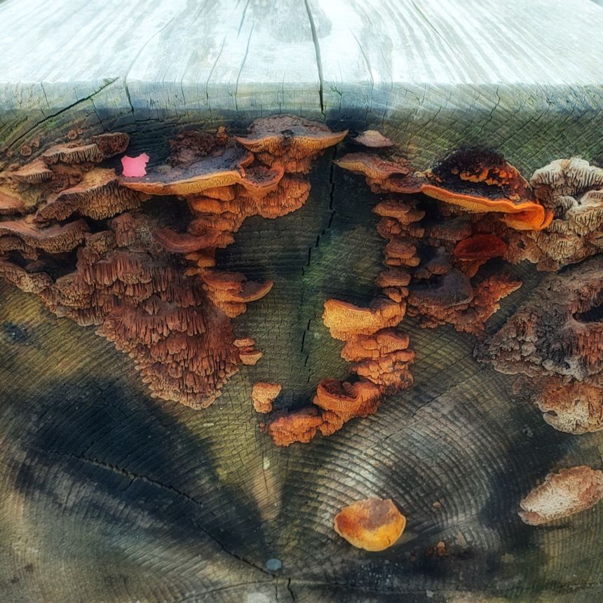 WO IST WAS? WINTERTHUR ALS WIMMELBILD