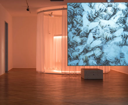 Logo Lighten Up! In the Rhythm of Day and Night